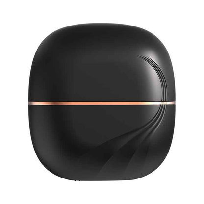 Mini Portable Wireless Hair Straightener