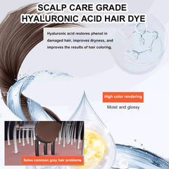 New 2 in 1 Comb Hair Dye