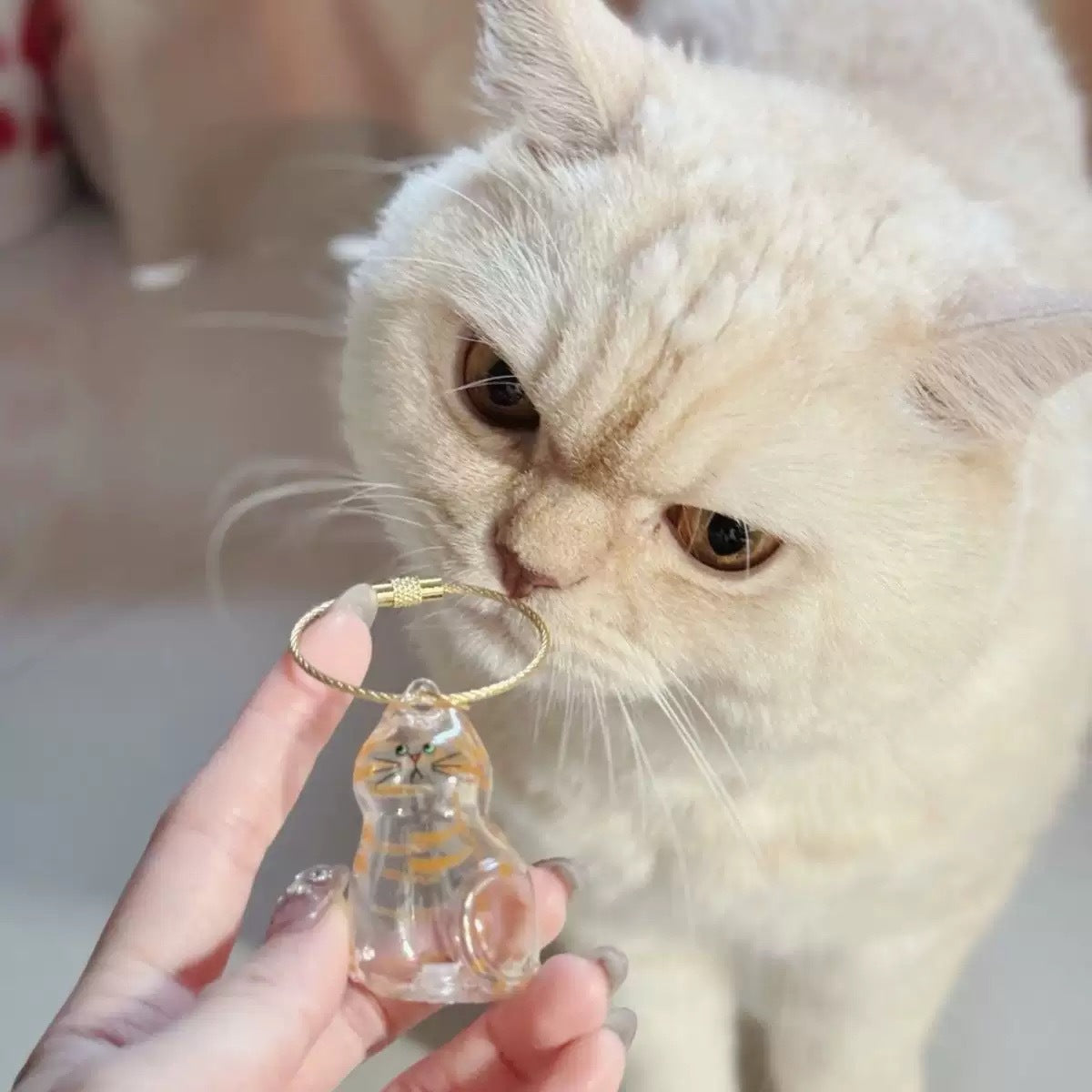 Pet Hair Collection Keychain