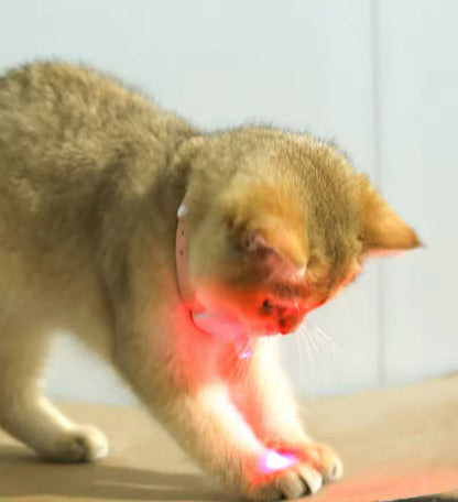 Cat Neck Laser Collar