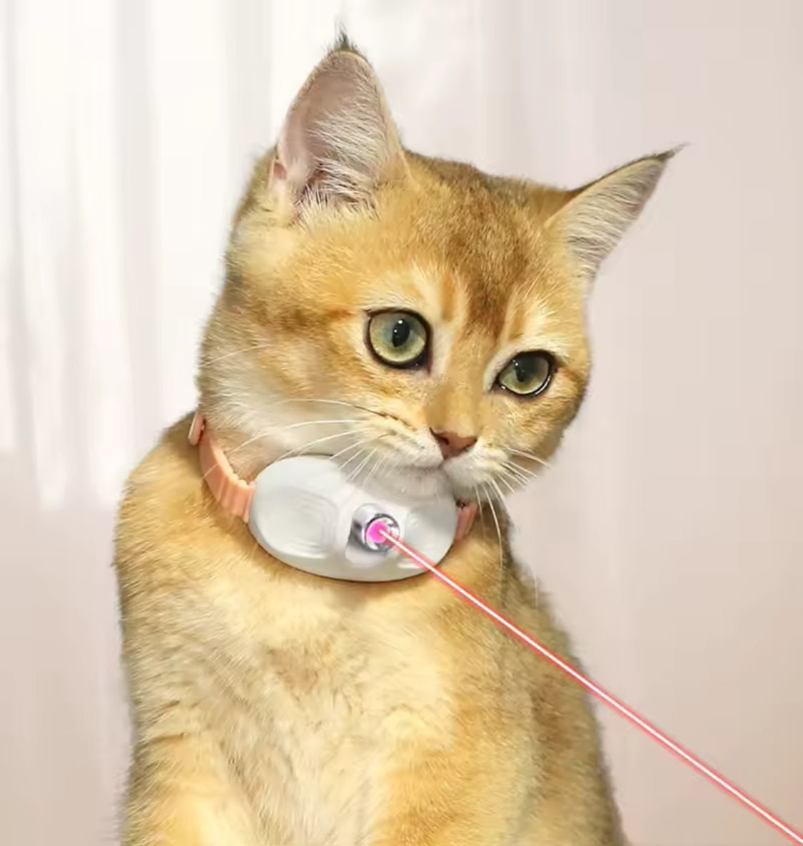 Cat Neck Laser Collar
