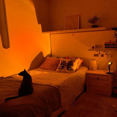 RGB 16 Color Sunset Lamp